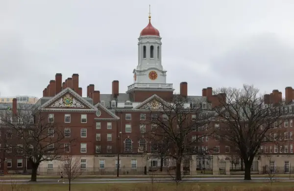 La enseñanza de Harvard a los futuros líderes sobre cómo invertir en tiempos irracionales
