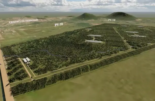 Granja San Miguel impulsa una revolución tecnológica, genética y productiva en la avicultura paraguaya