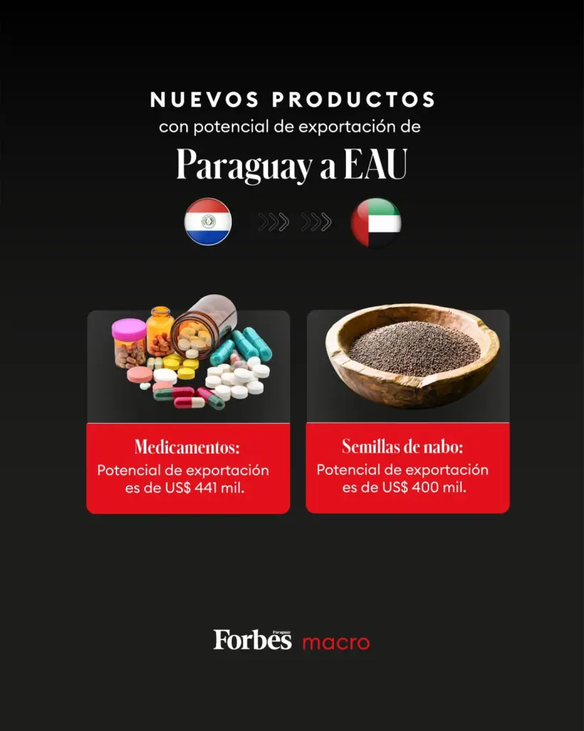Comercio exterior entre Paraguay y EAU