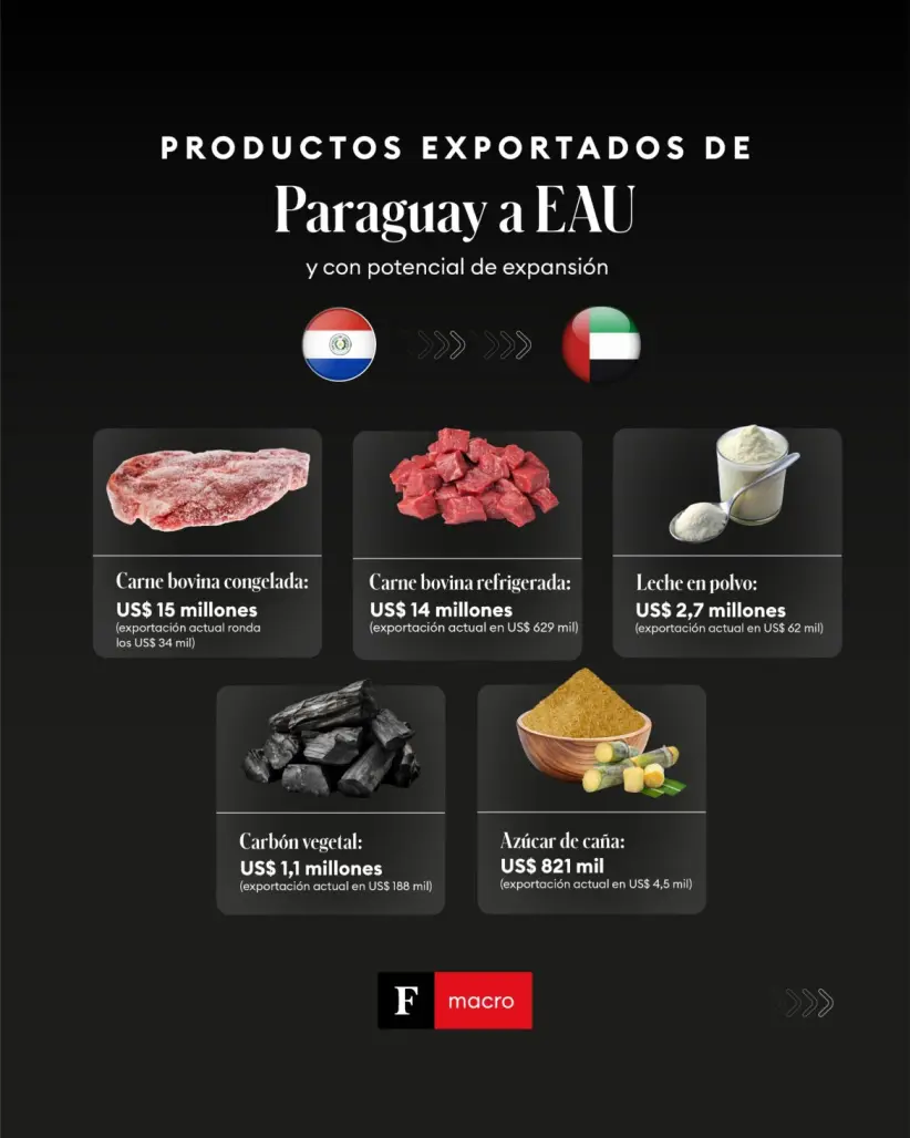 Comercio exterior entre Paraguay y EAU