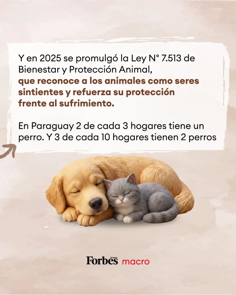 Menos hijos, más mascotas: la nueva familia del siglo XXI | Fuente: Elaboración Forbes Paraguay