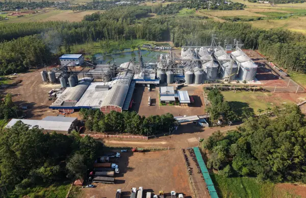 Paraguay marca presencia en el mercado global del arroz, con Molinos El País como protagonista