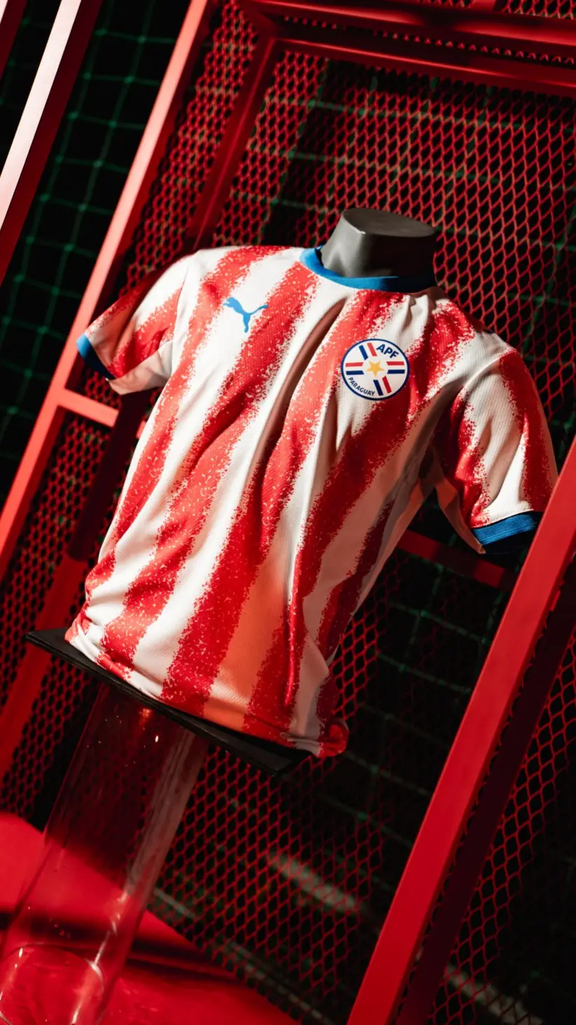 Remera de la Albirroja | Fotografía: Rocío Rodríguez