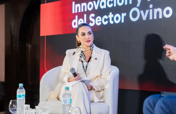 Un gigante en potencia: el ovino paraguayo busca su consolidación