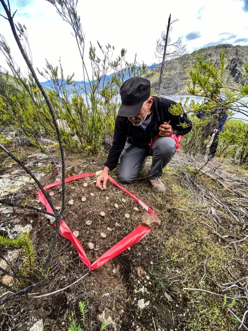 Reforest Latam
