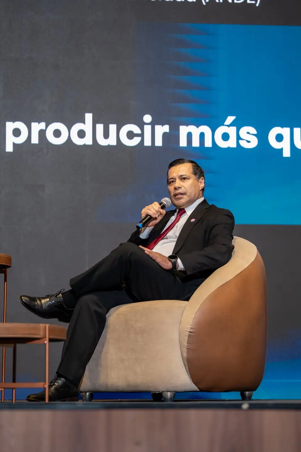 Félix Sosa, Presidente de la ANDE
