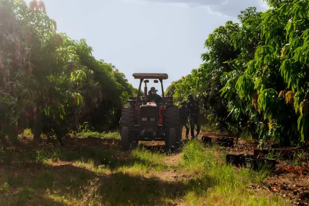 Fotos de stock gratuitas de agricultor, agricultores, agricultura. (Foto: Pexels)