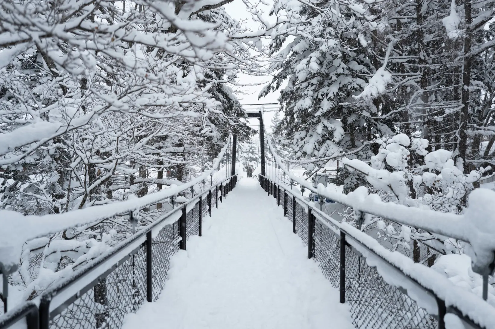 foto 5. niseko