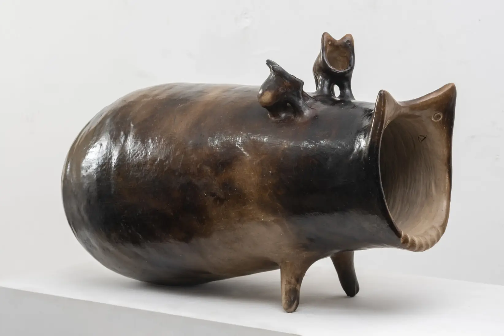 Gato de Julia Isídrez.