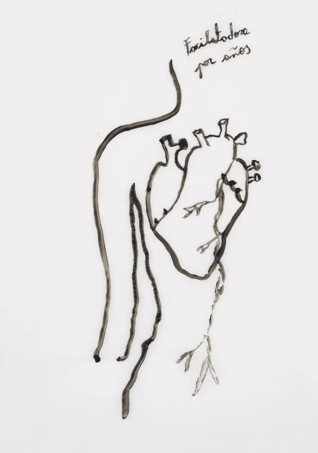 Agustina Galindez
