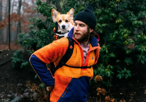 Pasea perros de refugio en una mochila por Nueva York y logra que los adopten en apenas 48 horas