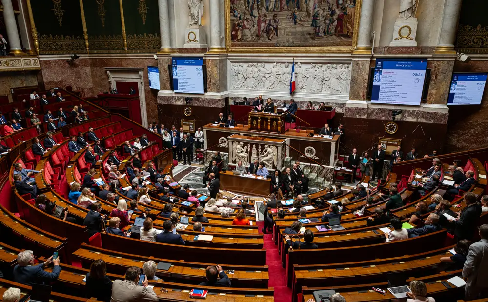 parlamento frances chicos redes